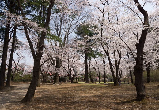 201204251143-DSC03196.jpg