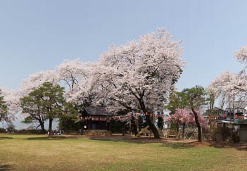 201204251147-DSC03201.jpg