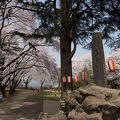 201204251149-DSC03205.jpg
