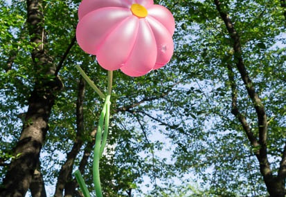 201205051606-DSC07042N.jpg