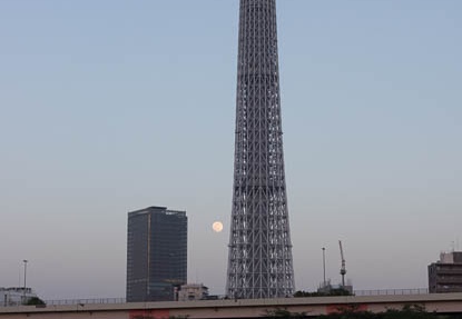 201205051820-DSC03437.jpg