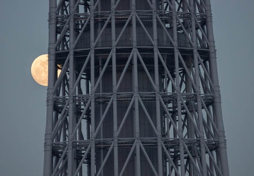 201205051831-DSC03444.jpg
