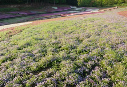 201205070556-DSC07192N.jpg
