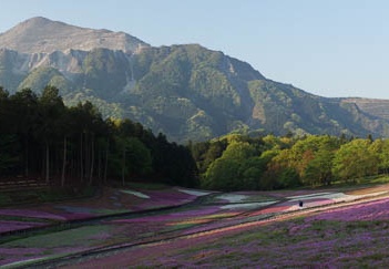 201205070558-DSC03567.jpg
