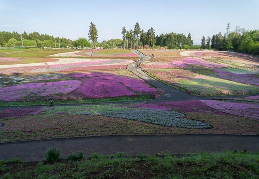 201205070626-DSC07216N.jpg
