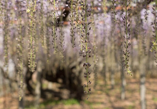 201205070845-DSC03722.jpg