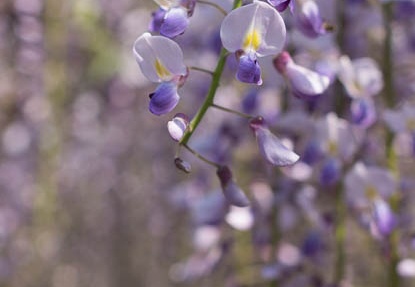 201205070846-DSC03726.jpg