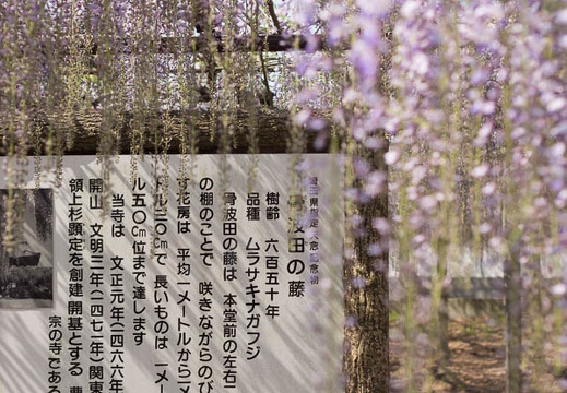 201205070856-DSC03742.jpg
