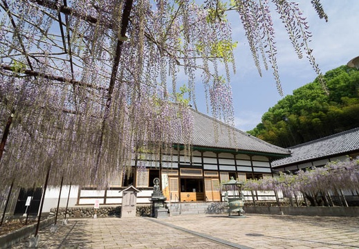 201205070856-DSC07237N.jpg