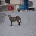 201205081648-DSC04437.jpg