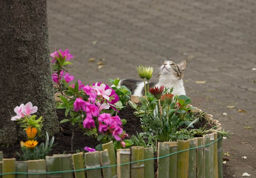 201205091307-DSC04556.jpg