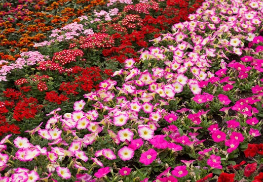 201205091326-DSC04566.jpg