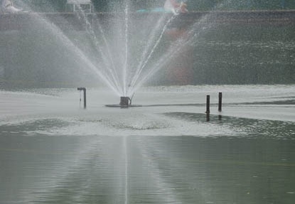 201205091349-DSC04601.jpg