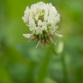 201205091407-DSC04609.jpg