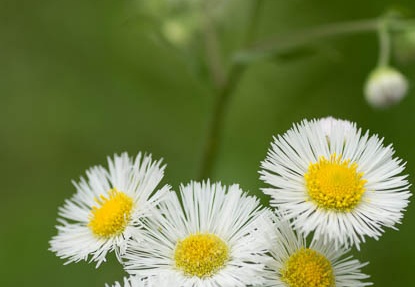 201205091409-DSC04616.jpg