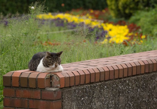 201205091455-DSC04661.jpg
