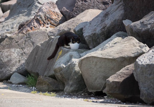 201205111434-DSC05039.jpg