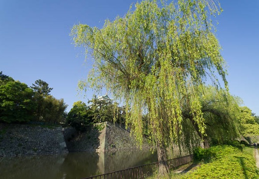 201205190648-DSC07692N.jpg