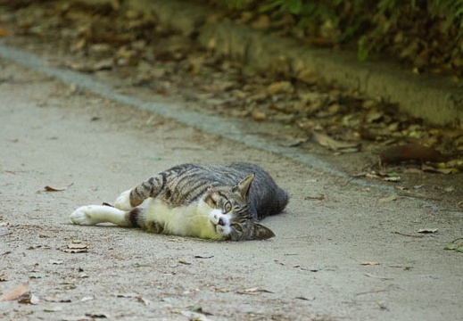 201205190700-DSC05110.jpg