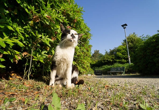 201205190704-DSC07704N.jpg