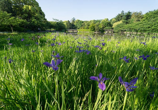 201205190710-DSC07714N.jpg