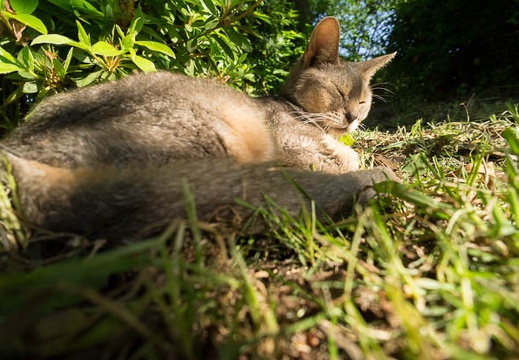 201205190721-DSC07720N.jpg