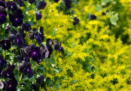 201205190743-DSC05163.jpg