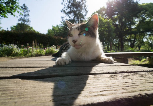 201205190750-DSC07731N.jpg