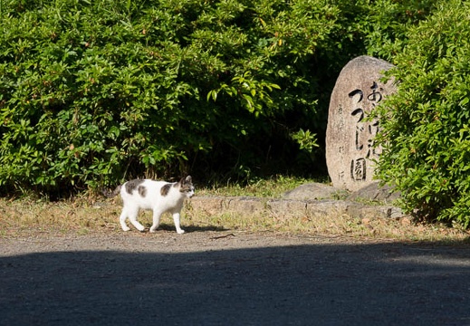 201205190807-DSC05197.jpg
