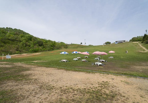 201205240845-DSC07803N.jpg
