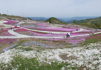 201205240935-DSC07848N.jpg