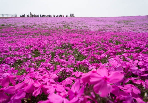 201205240958-DSC07862N.jpg