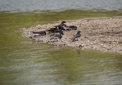 201205241121-DSC05556.jpg