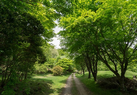 201205241209-DSC07914N.jpg