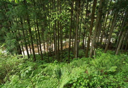 201205241304-DSC07922N.jpg