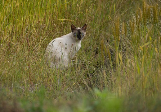 201205241640-DSC05774.jpg