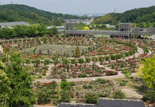 201206010919-DSC05838.jpg