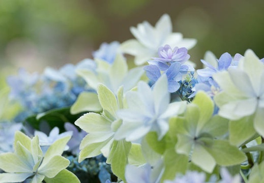 201206011023-DSC05910.jpg