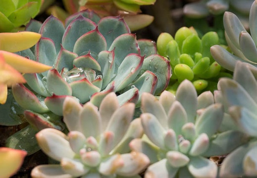 201206011027-DSC05918.jpg