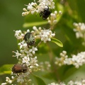 201206011047-DSC05939.jpg