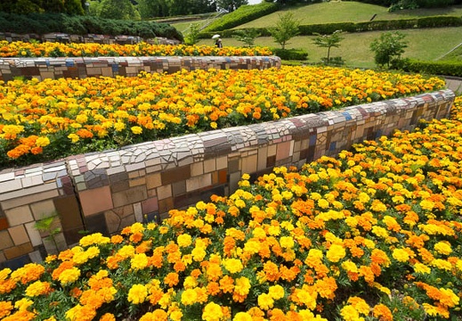 201206011052-DSC08000N.jpg