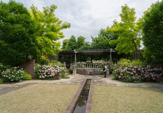 201206011248-DSC08069N.jpg