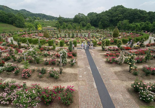 201206011251-DSC08077N.jpg