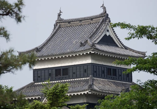 201206020736-DSC06167.jpg