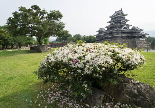 201206020750-DSC08154N.jpg
