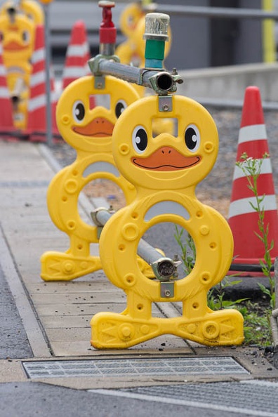 201206031612-DSC06674.jpg