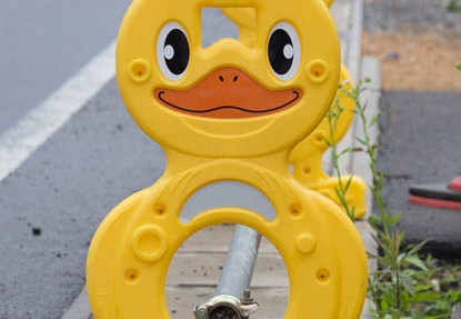 201206031612-DSC06675.jpg