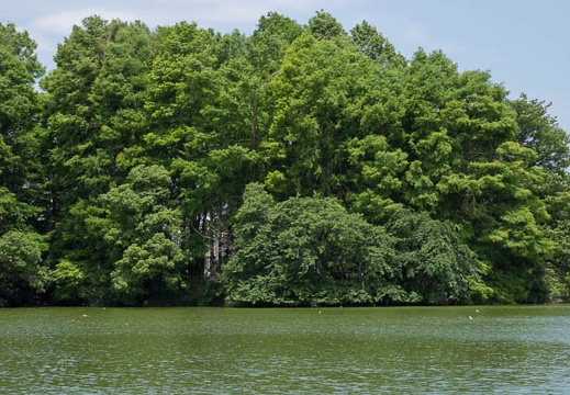 201206071139-DSC06738.jpg