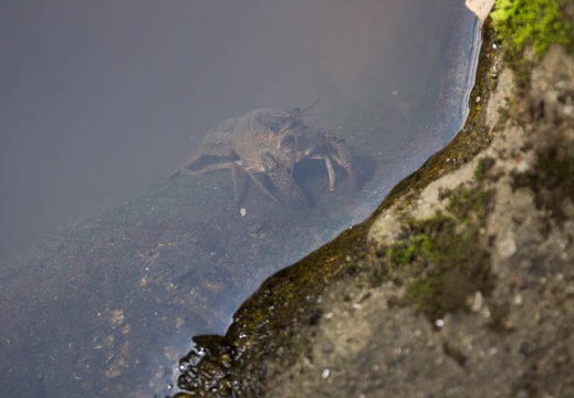 201206071353-DSC06850.jpg