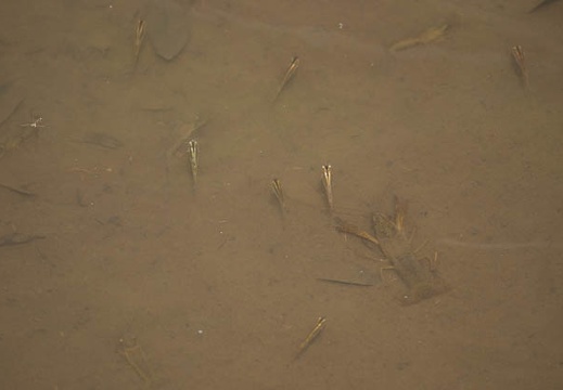201206071407-DSC06869.jpg